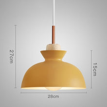 Load image into Gallery viewer, Horsten Nordic  Modern Colorful  Metal Lampshade Pendant Lamp
