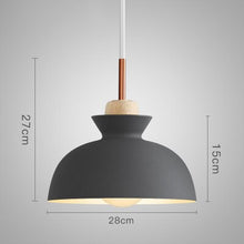 Load image into Gallery viewer, Horsten Nordic  Modern Colorful  Metal Lampshade Pendant Lamp