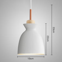 Load image into Gallery viewer, Horsten Nordic  Modern Colorful  Metal Lampshade Pendant Lamp
