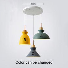 Load image into Gallery viewer, Horsten Nordic  Modern Colorful  Metal Lampshade Pendant Lamp